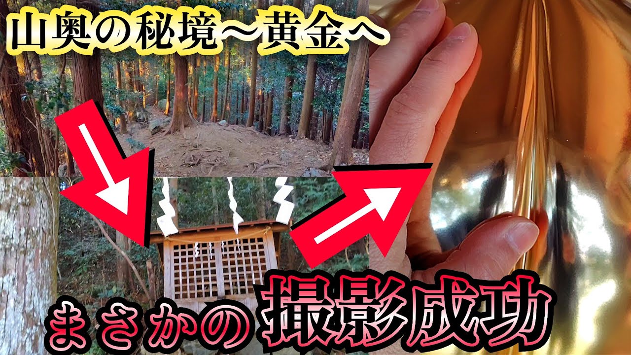 【埼玉】まさか撮影できるとは!!山の酷道で遭遇〜神社お宝映像へ【埼玉県、旅系YouTuber】険道、嵐山、ライブカメラ、最強、パワースポット、廃墟、探索、一人旅、vlog、心霊、ユーチューバー、登山