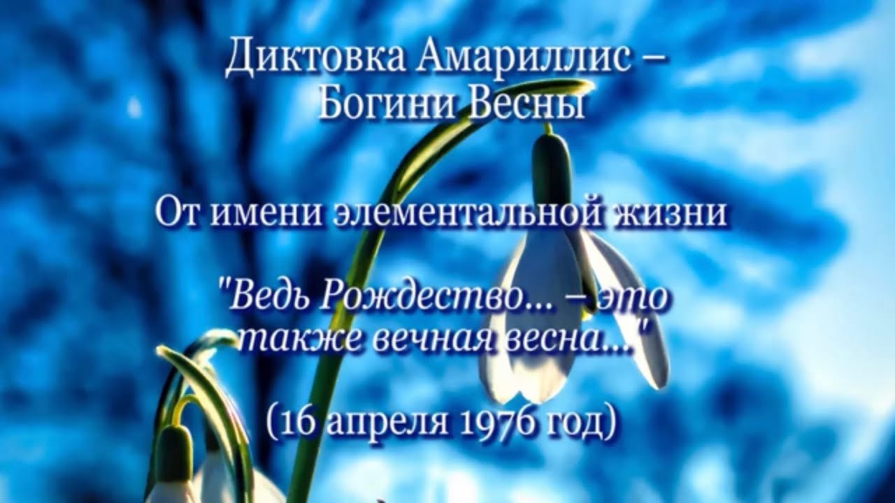 Амариллис - Богиня Весны 