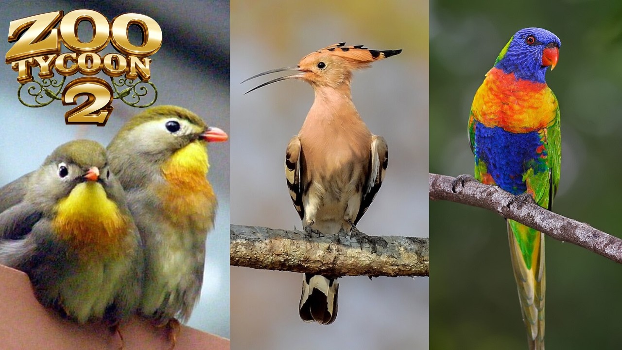 I'm Back! - Building A Classical Bird House In Zoo Tycoon 2