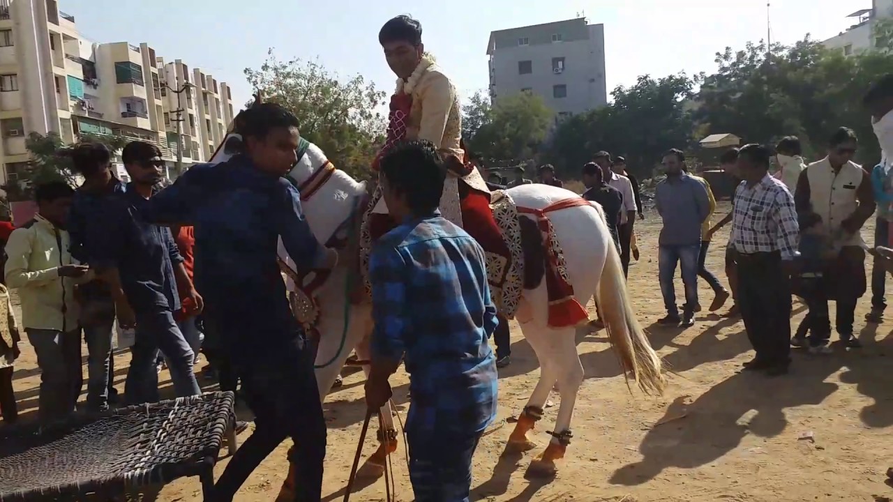 Sabnur ghodi in Pavan's merej