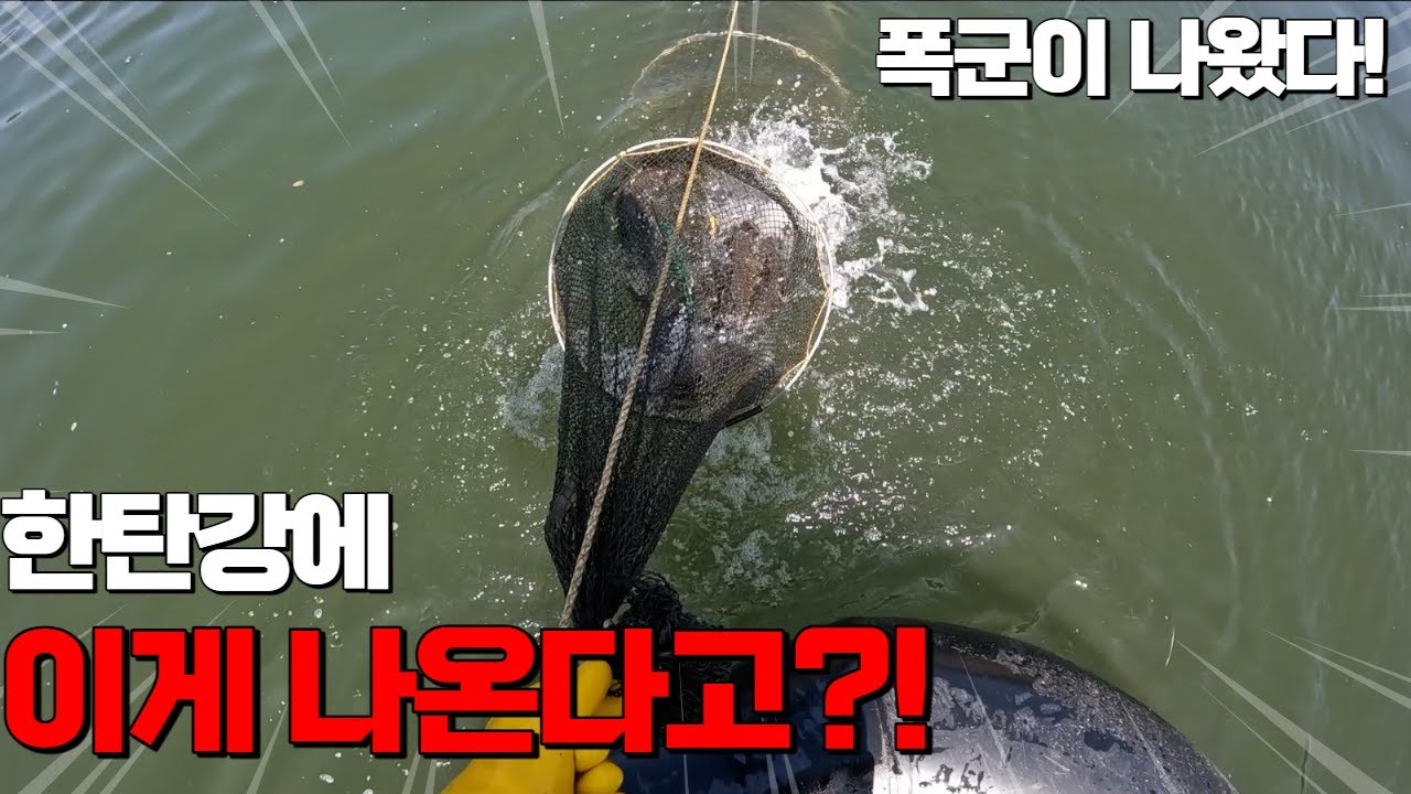 한탄강에서 진짜 한번 잡힐까 말까 한 어종이 저한테 또 나와줬습니다.. 역시 특별하게 생겼네요..