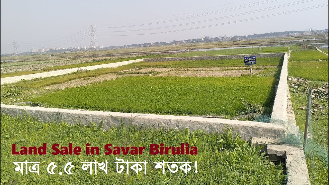 অল্প দামে জমি! | মাত্র ৫.৫ লাখ টাকা শতক! | ছোট ওয়ালিয়ায় ১১.৯১ শতক জমি! | Land Sale in Savar Birulia