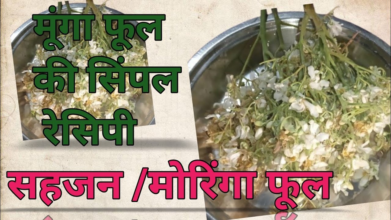 Sahjan flower recipe सहजन फूल की रेसिपी 