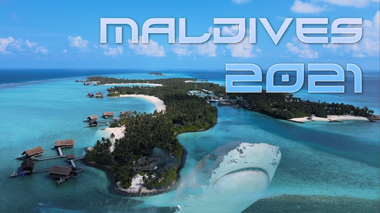 2021 Maldives | Travel Video | Swimming with sharks and turtles