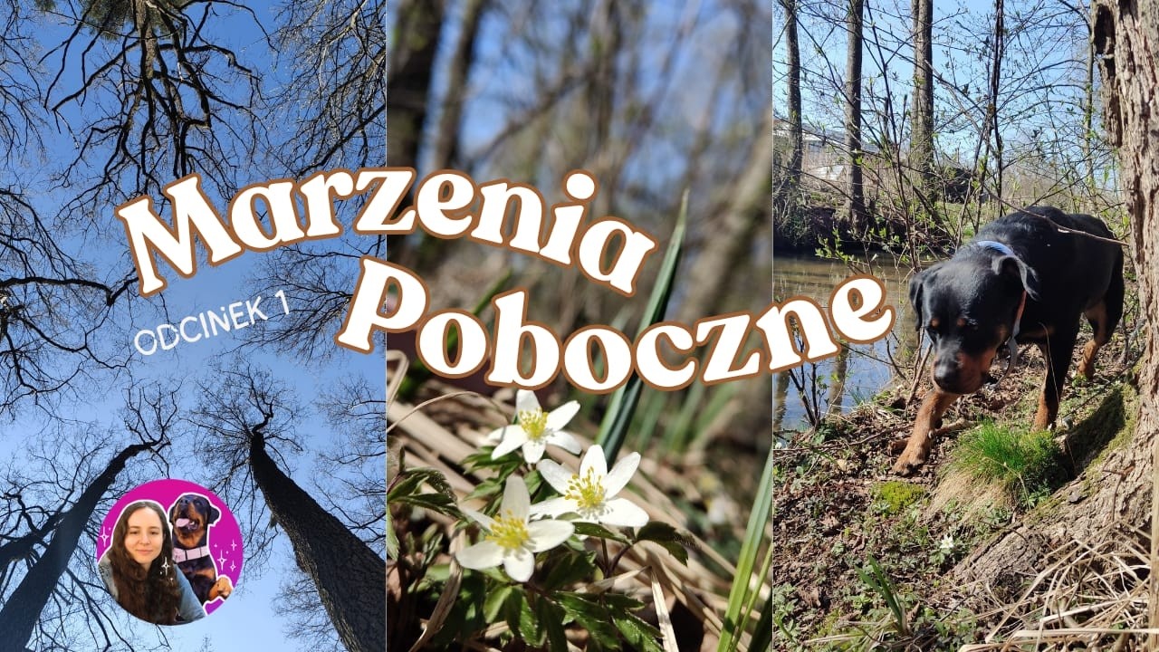 Marzenia Poboczne