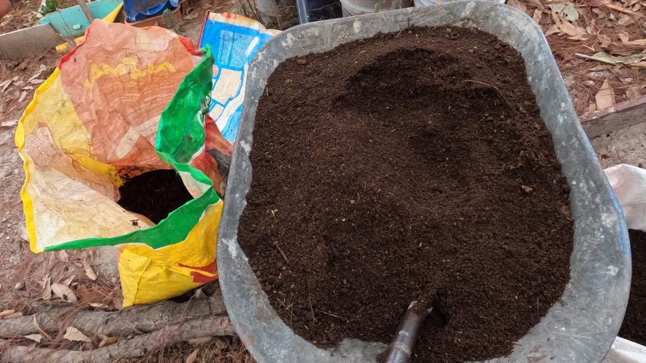 Cómo Preparo y Uso ESTIÉRCOL DE VACA en mi Huerto en casa.