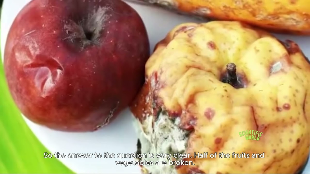 Can you still eat half rotten fruits and vegetable?