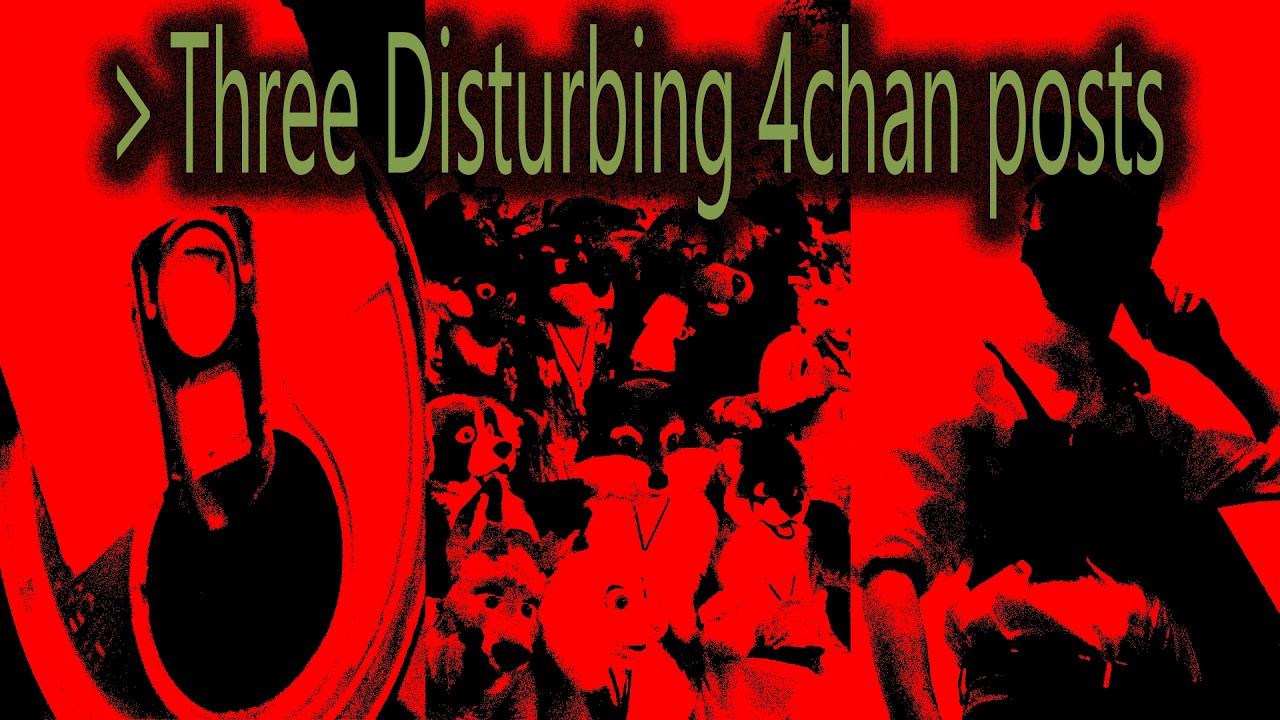 Три тревожных поста на 4chan