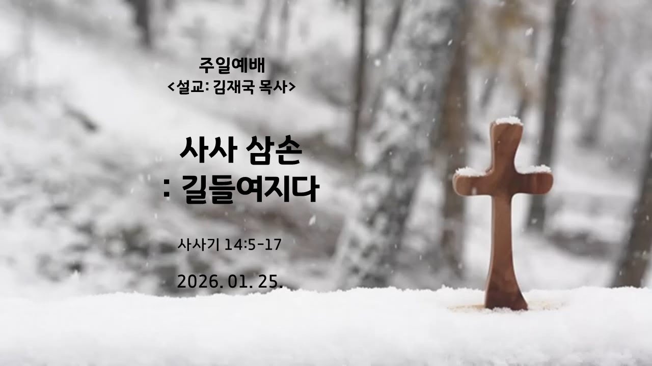 사사 삼손 : 길들여지다 삿 14:5-17 김재국목사 주일오전예배 26. 01. 25