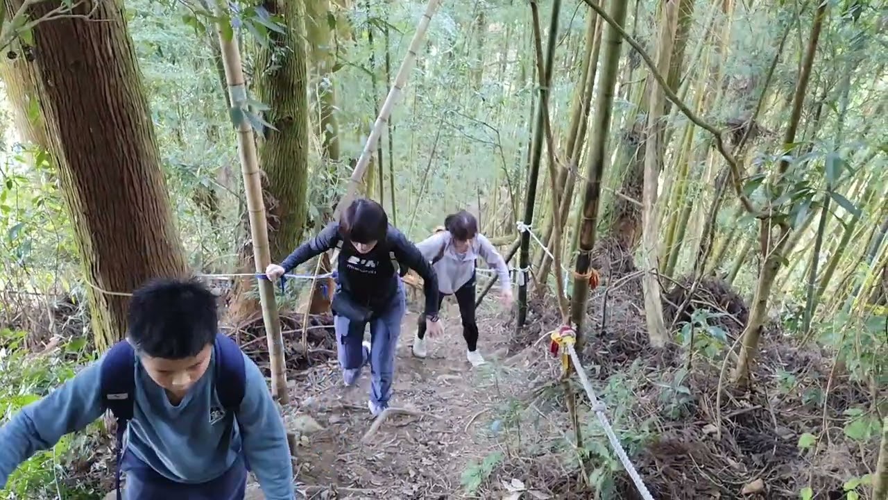 金柑樹山忘憂森林縱走