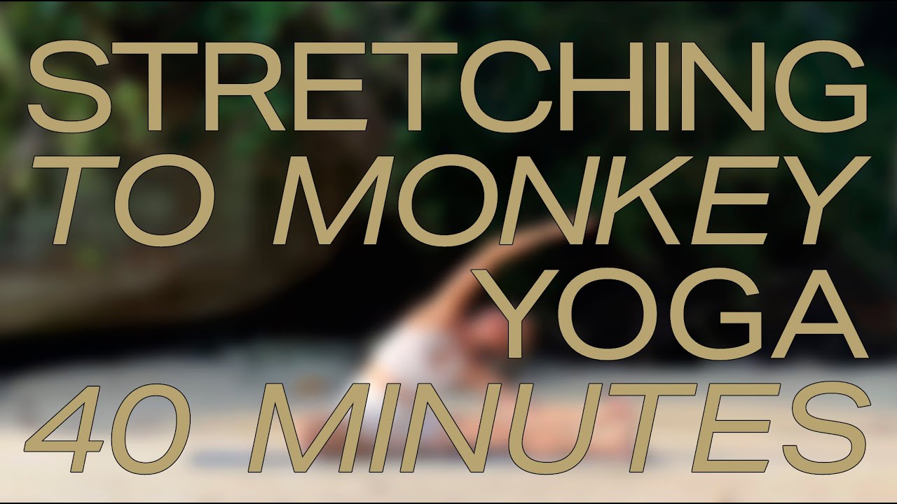 Stretching to Monkey Yoga Class – 40 Minutes – Beginner friendly