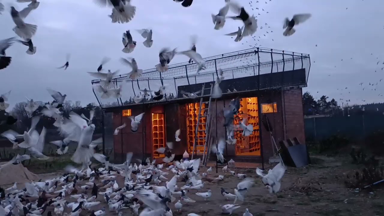 Popas. Blacha ogarnięta. Pozdrawiam 🔥🔥🔥