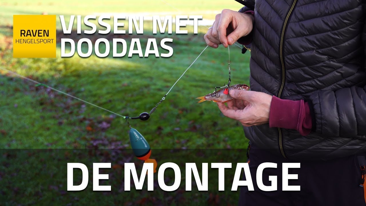 DOODAAS MONTAGE | GEGARANDEERD VANGST