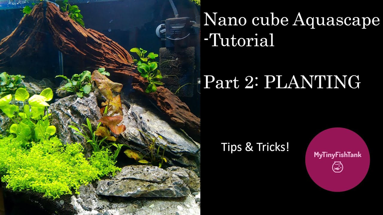 Dennerle Nano Cube 30L Aquascaping  for Beginners --PART 2: Planting