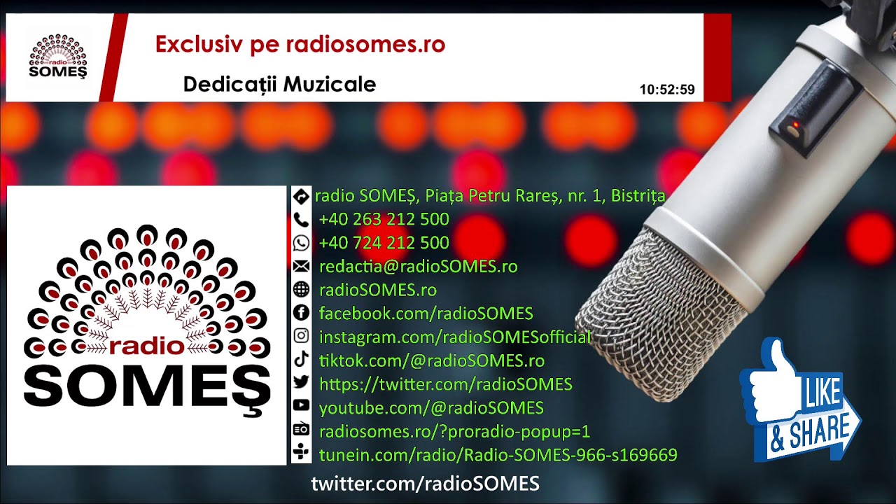 Dedicatii Muzicale