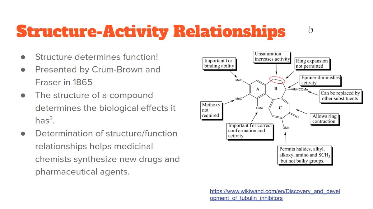 Structure Activity Relationships and Medicinal Chemistry