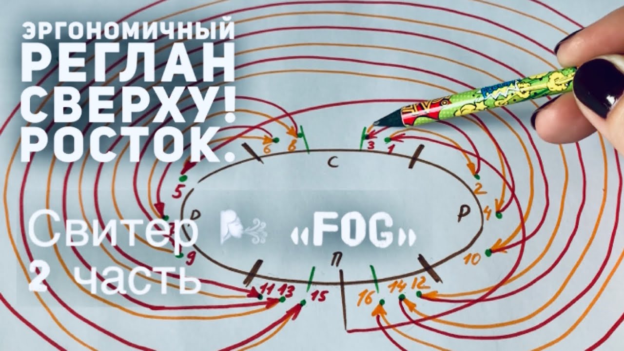 ВСЕ 👩🏼‍🎓 о РЕГЛАНЕ СВЕРХУ! РОСТОК: ИДЕАЛЬНЫЙ 👍 / СХЕМА / СВИТЕР СПИЦАМИ  🌬 