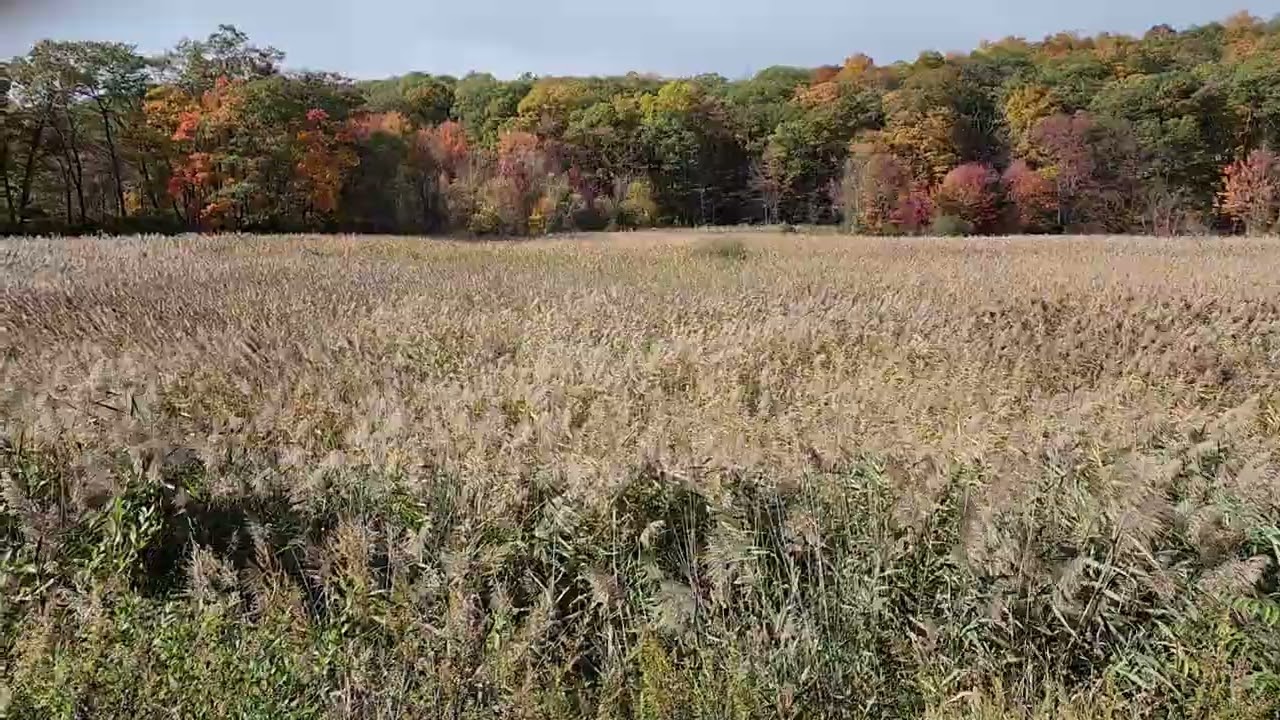 Field of Dreams - St. John's Church in the Wilderness
