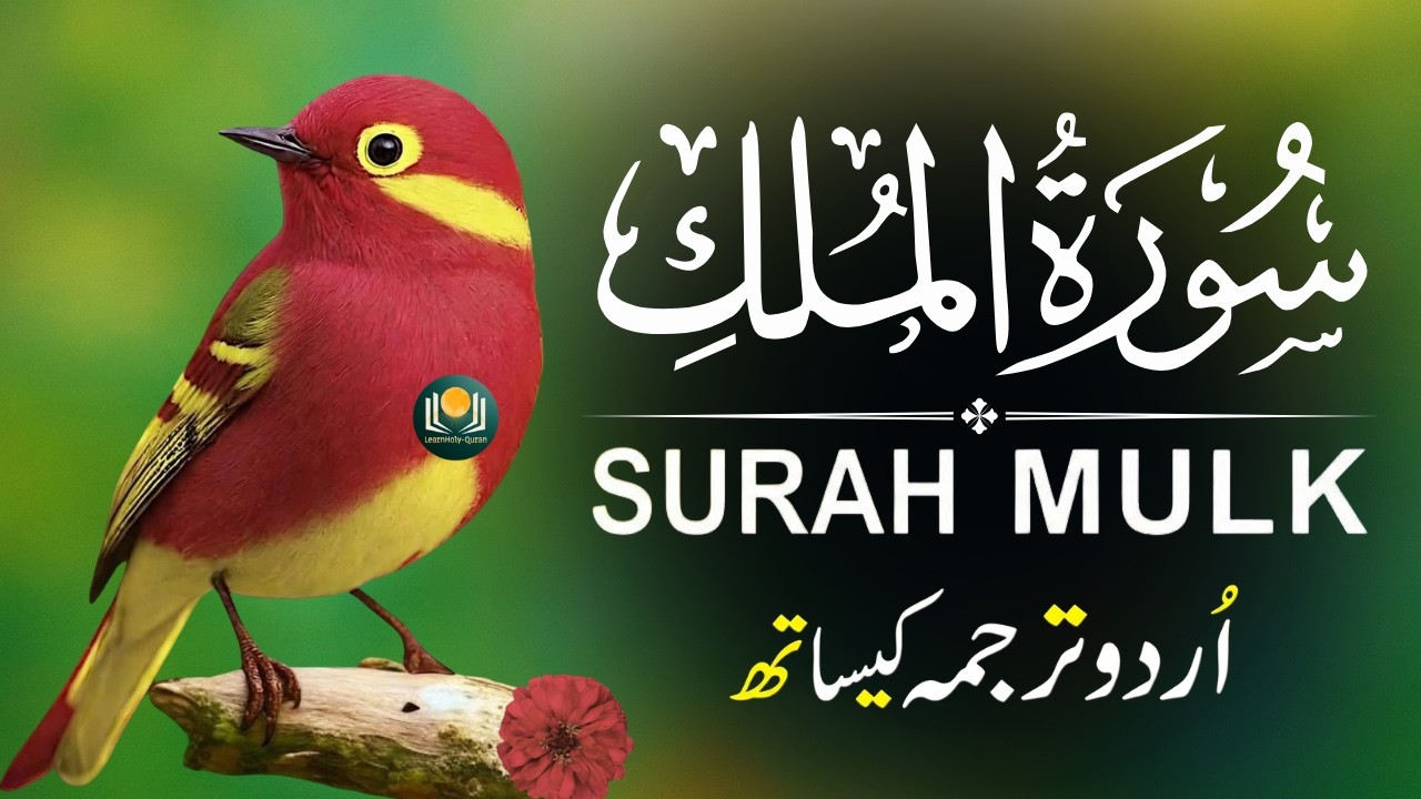 Surah Mulk with Urdu Translation | Heart Touching Recitation by Qari Mansoor Ghaznavi | Ep039