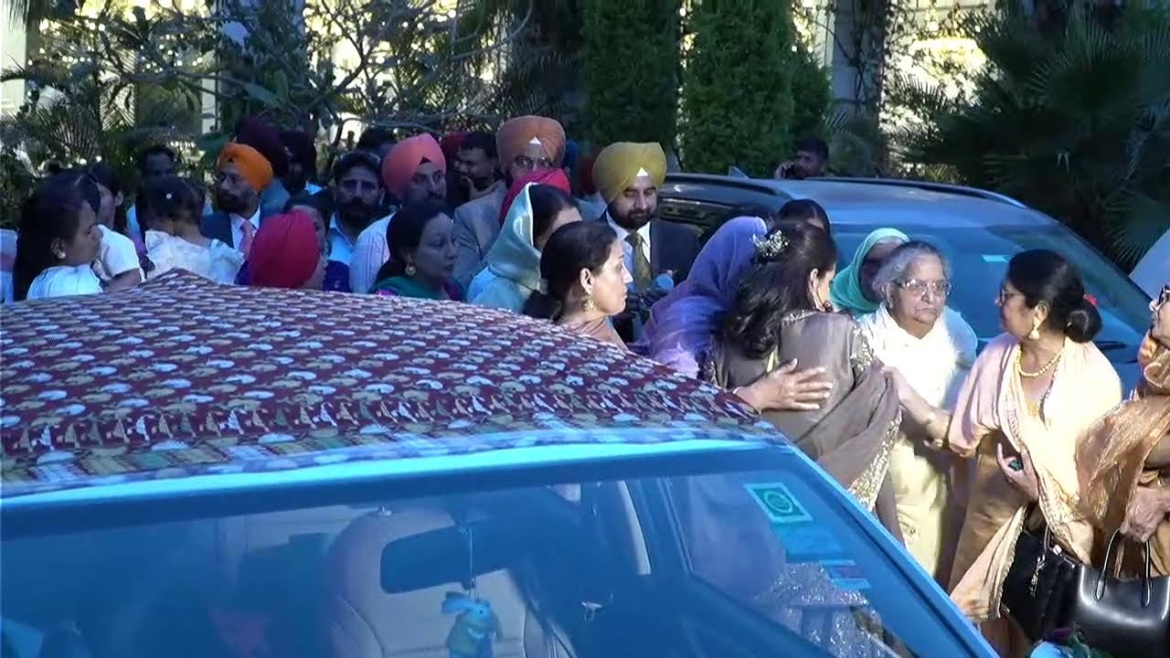 Live Wedding