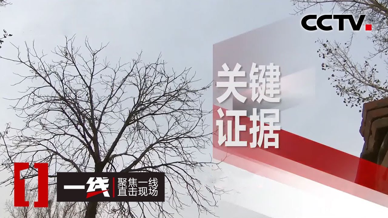 《一线》 关键证据：耄耋老人惨遭毒手 鞋上血迹成为破案关键 20200722 | CCTV社会与法