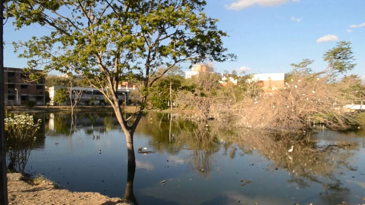 Reportagem - Engenharia Civil/Universidade Federal de Campina Grande