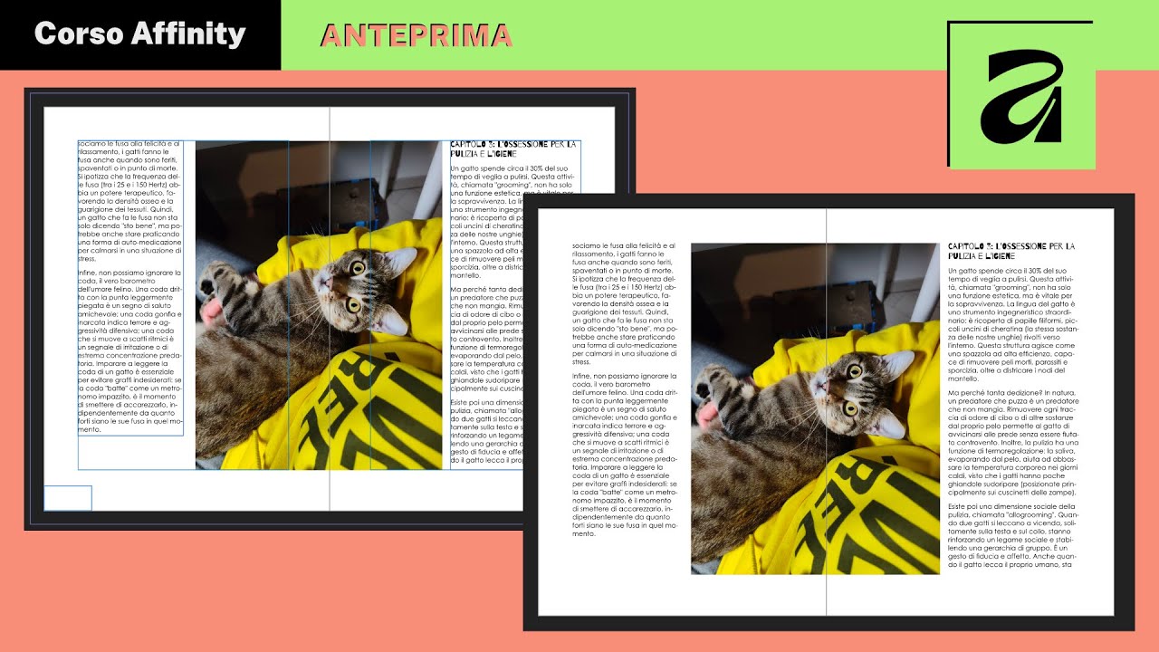 Visualizza il tuo progetto Layout di Affinity senza guide, margini o smarginature