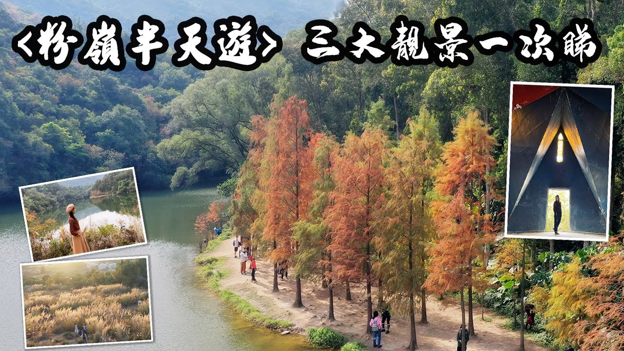 [粉嶺半天遊]三大靚景一次睇 | 港版天空之鏡 | 魔幻森林 | 超高大芒草田 | 打卡人氣印度廟