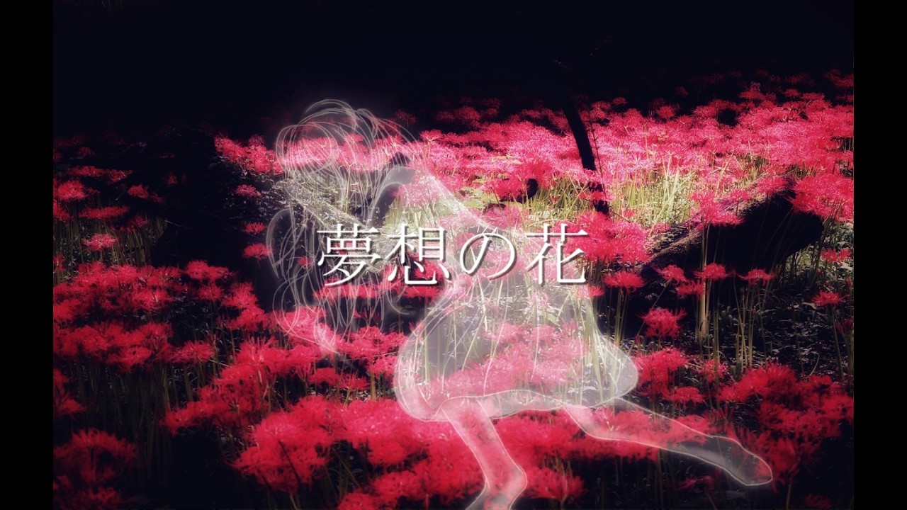 夢想の花