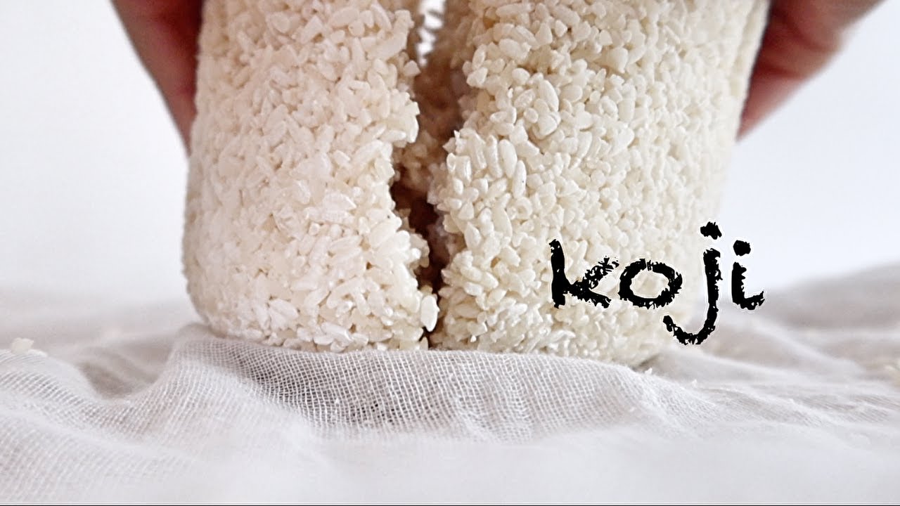 How to make rice Koji  米麴の作りかた（ヨーグルトメーカー）倍速再生推奨