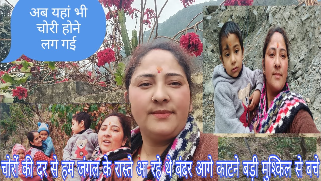 यहां भी चोरी होने लग गई 😰 चोरों की डर से जंगल के रास्ते आ रहे थे 😰 बंदर ने कर दिया अटैक 😱 pahadi 🌺