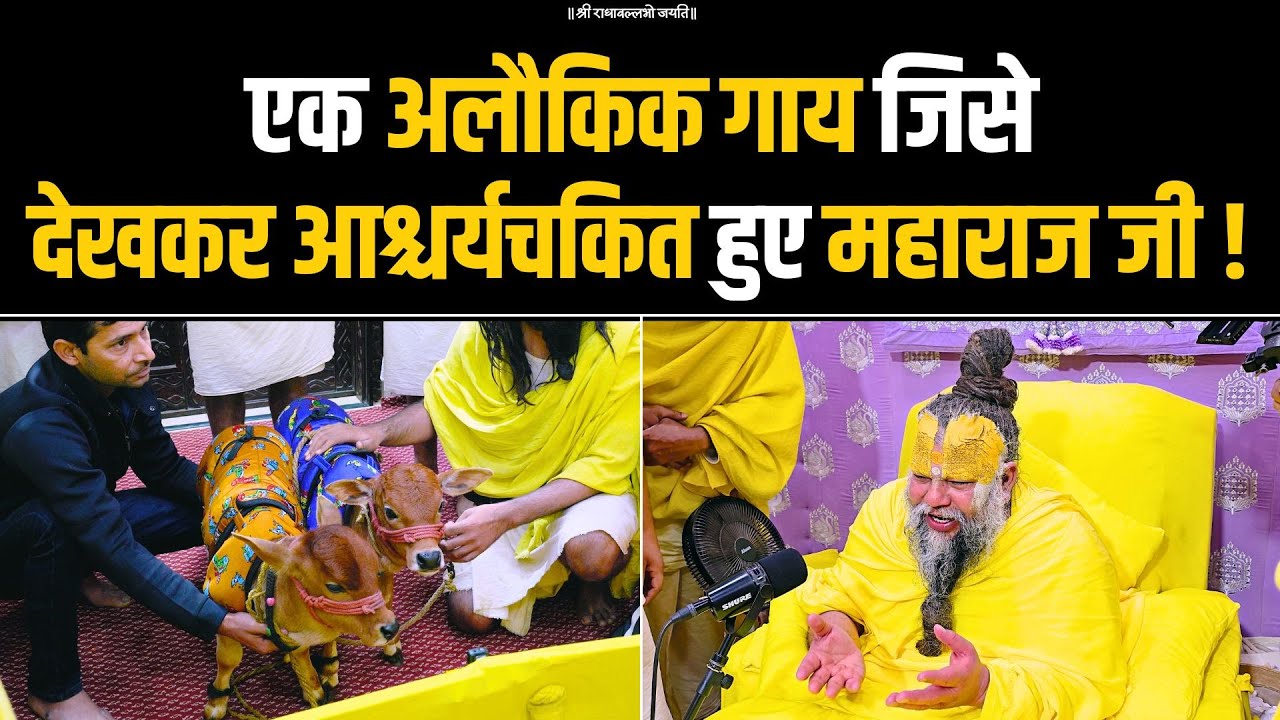 एक अलौकिक गाय जिसे देखकर आश्चर्यचकित हुए महाराज जी ! Bhajan Marg