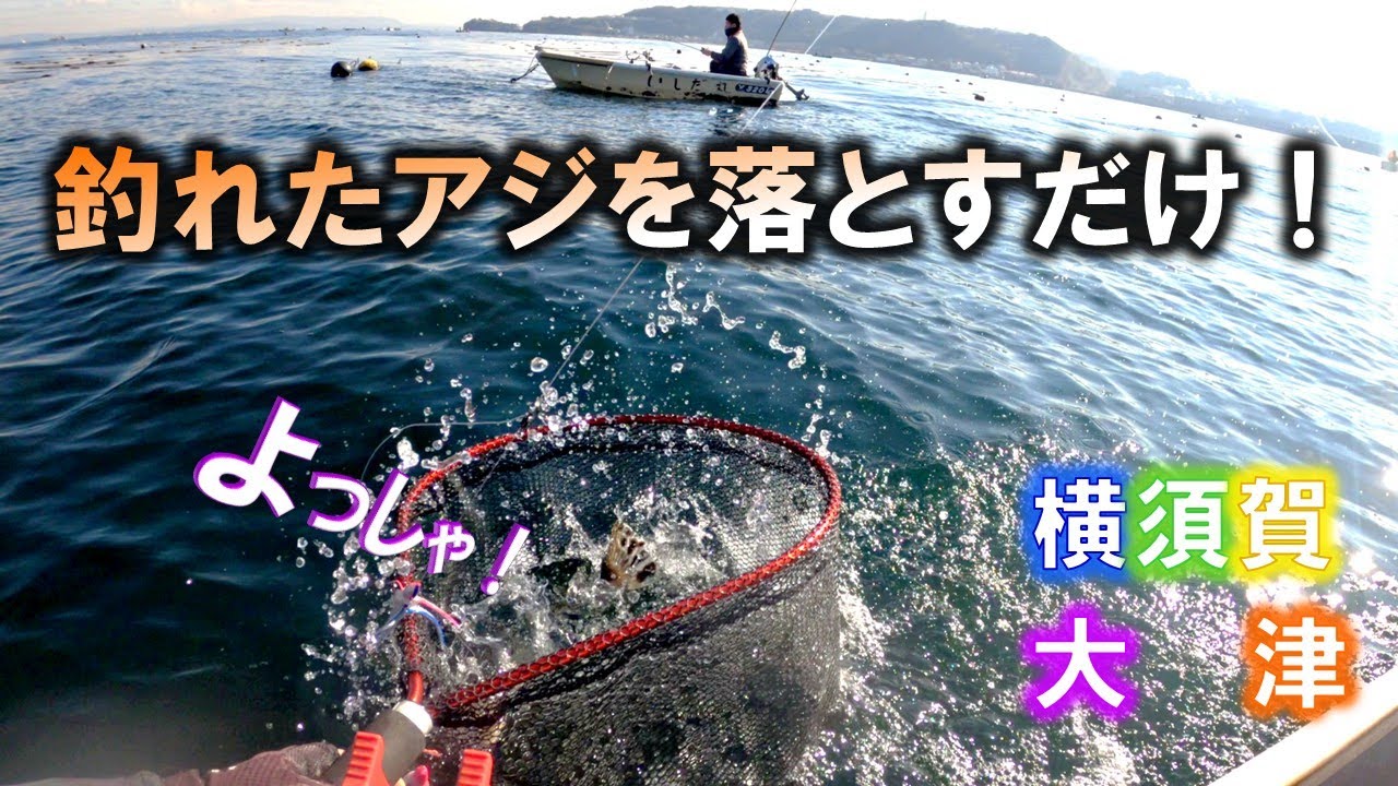 手漕ぎボートでアジの泳がせ釣りで大物を狙う。泳がせたアジのサイズは驚きの○○センチ！横須賀大津・石田丸2025/12/29