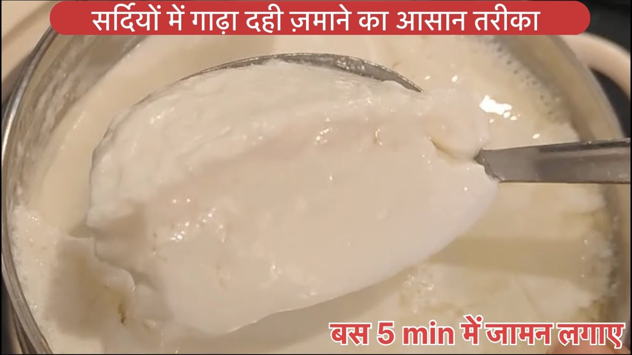 भयंकर सर्दियों में भी गाढ़ा दही जमा पाएंगे मेरे इन सीक्रेट टिप्स से | Creamy Thick Curd | DAHI MAKING