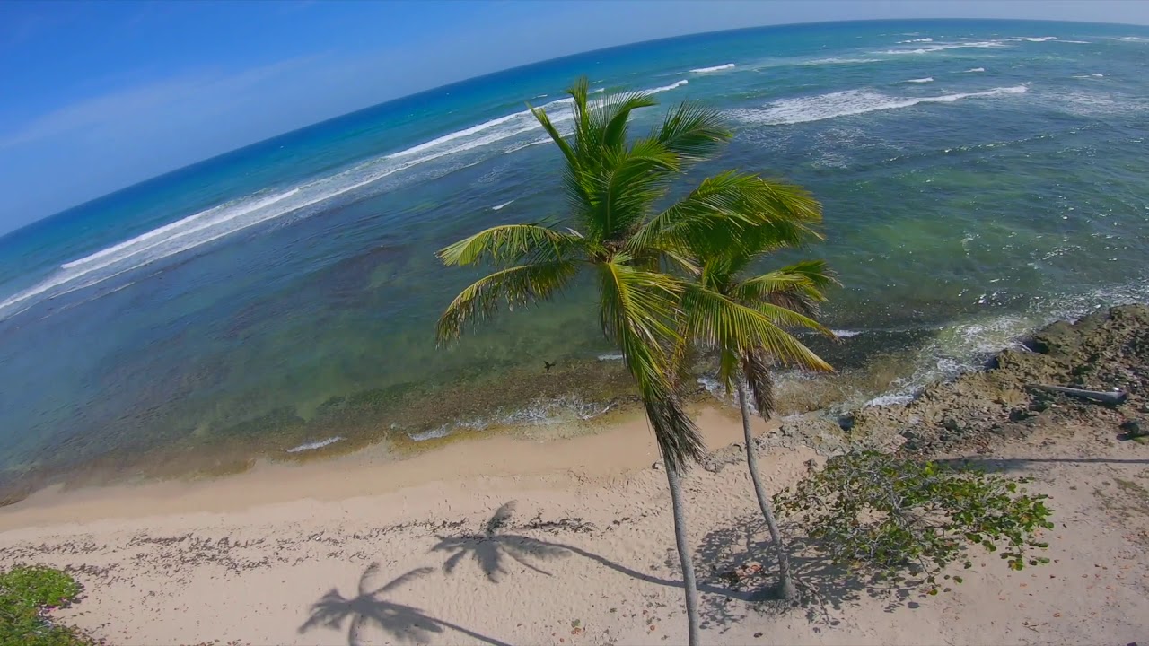 Guayacanes, República Dominicana