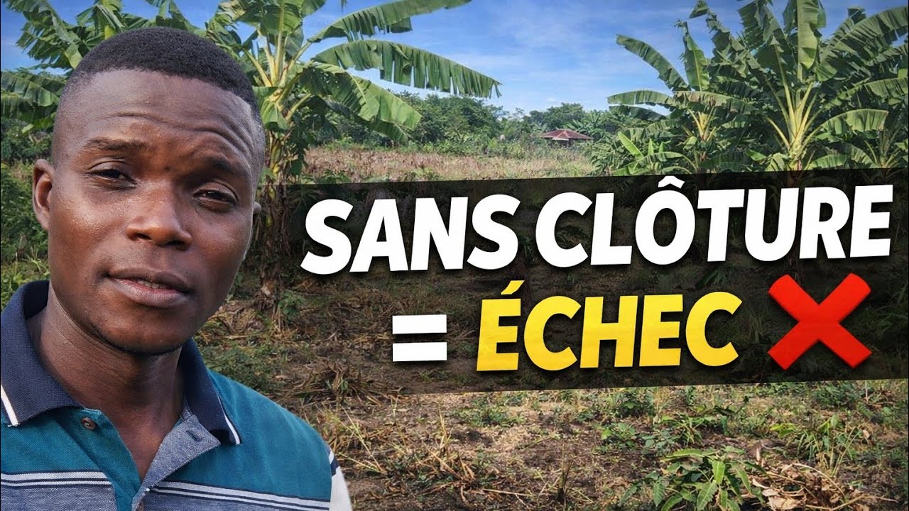 J’ai tout perdu sur 1 000 m² de bananiers 😱 | L’erreur fatale à éviter en agriculture