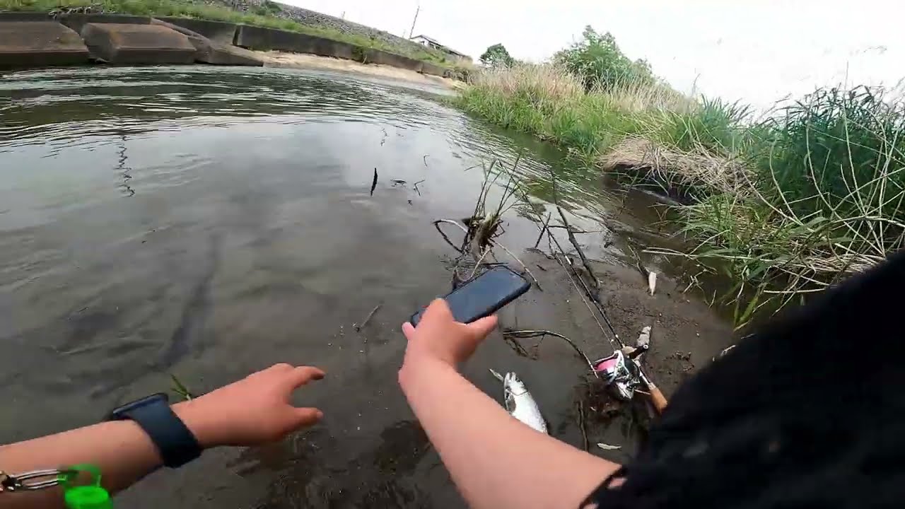 銀鮭が釣れる川！？過去動画の巻