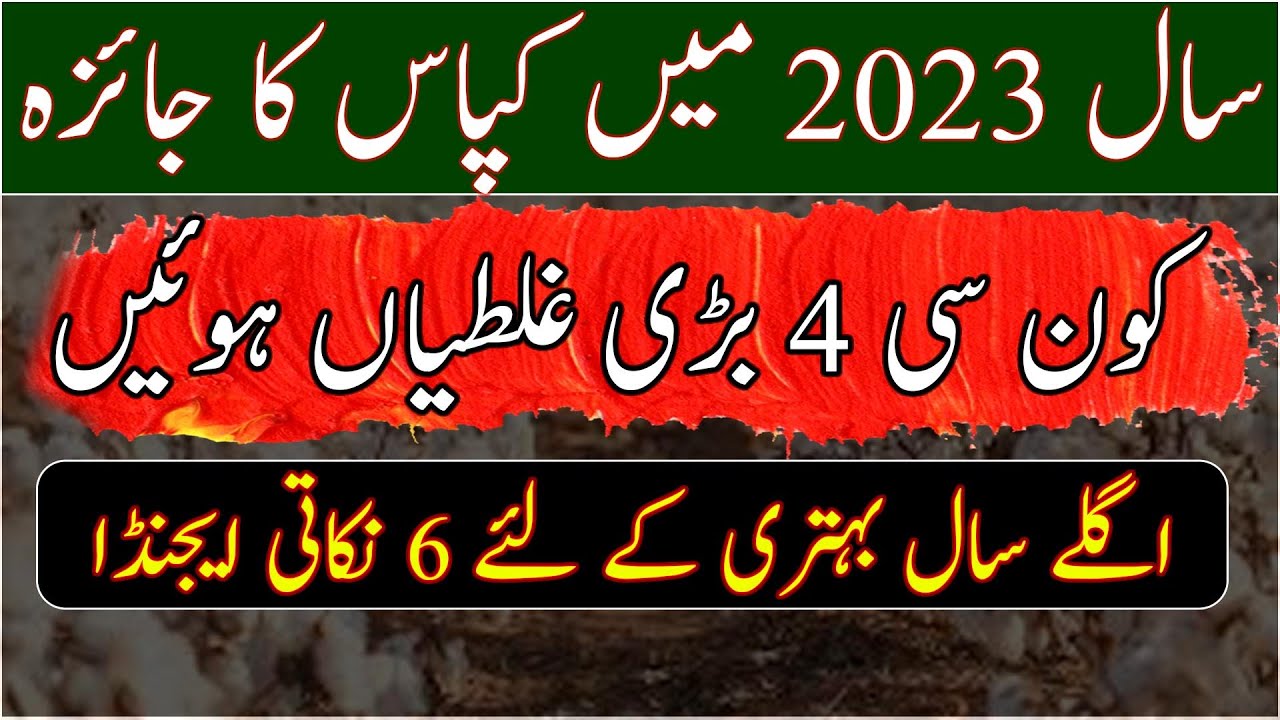 how was cotton production in Pakistan in 2023|how to increase cotton yield|cotton farming profit