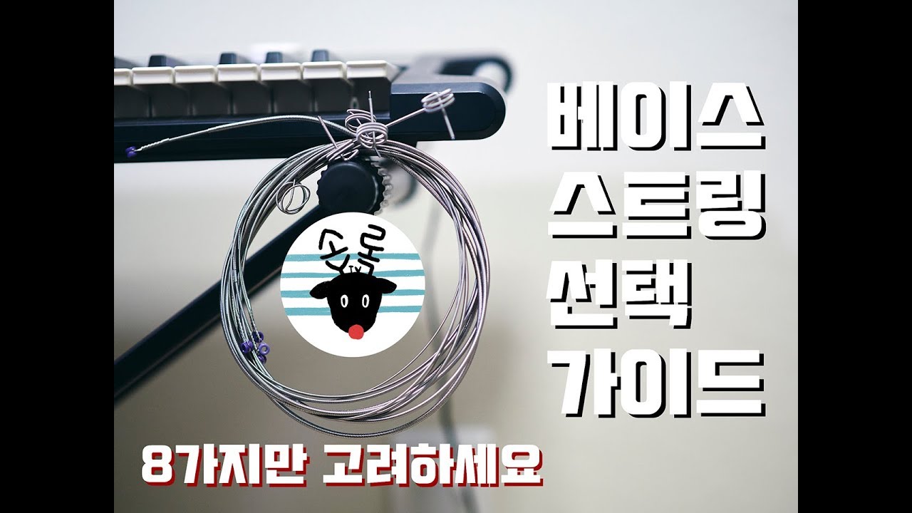 베이스 스트링 선택의 가이드! 아직도 아무 스트링 쓰세요? 8가지만 기억하세요! -손록손록tv-