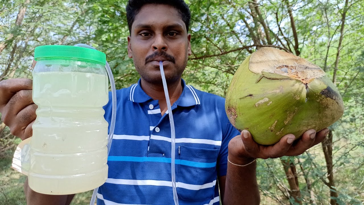 இளநீரில் கள்ளு தயாரிப்பது எப்படி?Instant Coconut Toddy Making at Home|Village Food Safari|Suppu