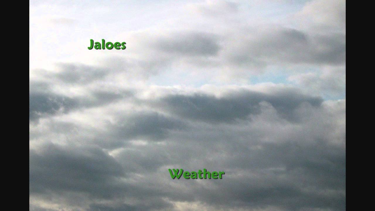 Jaloes - Foggy