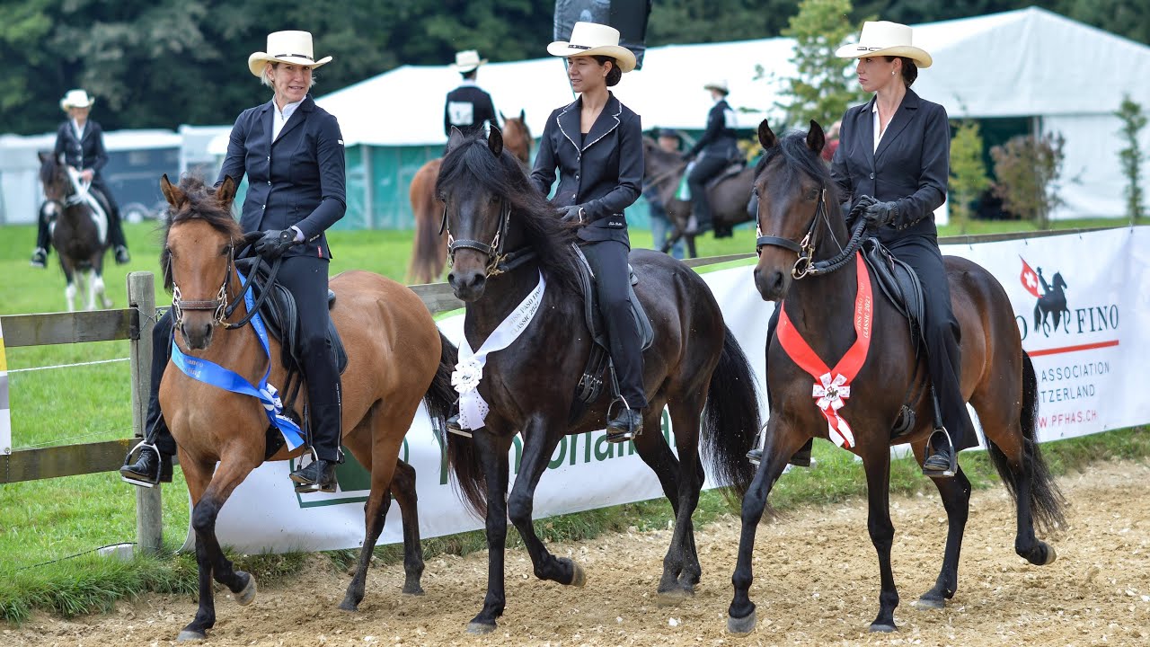 Swiss Paso Fino Classic 2021 - Rückblick