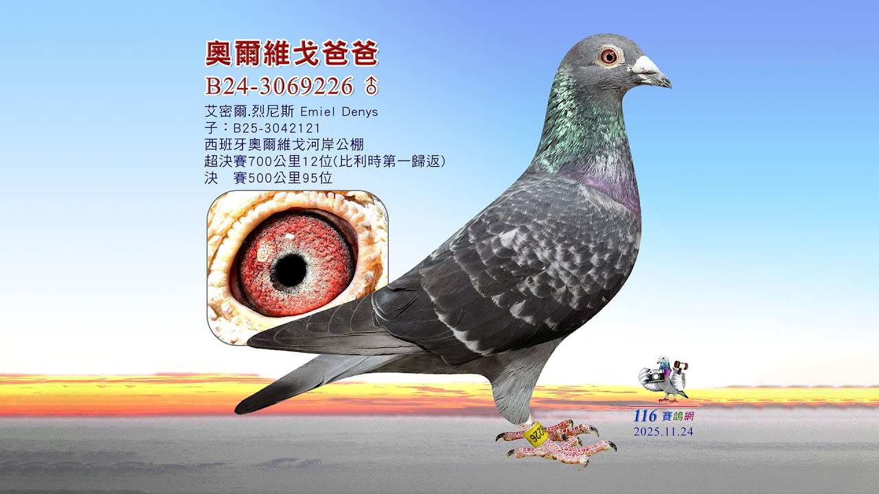 【艾密爾 烈尼斯】B24-3069226