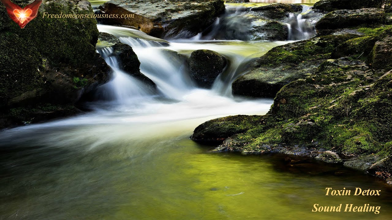Toxin Detoxification Frequency Therapy - Get Rid of Toxins in your Body with Ease
