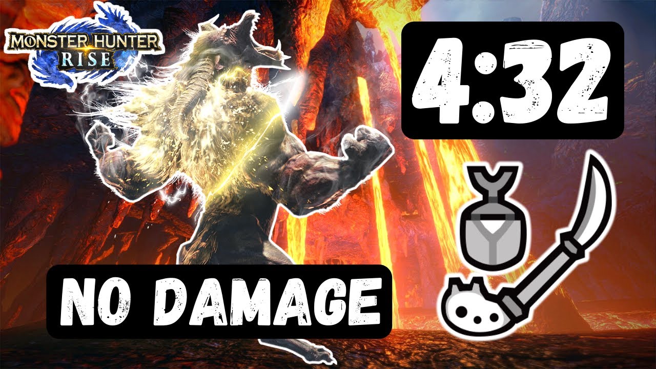 TA MH Rise : Insect Glaive Rajang Solo in 4:32 ( Slay / No damage )