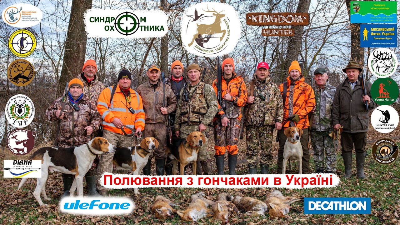 Полювання з гончаками в Україні