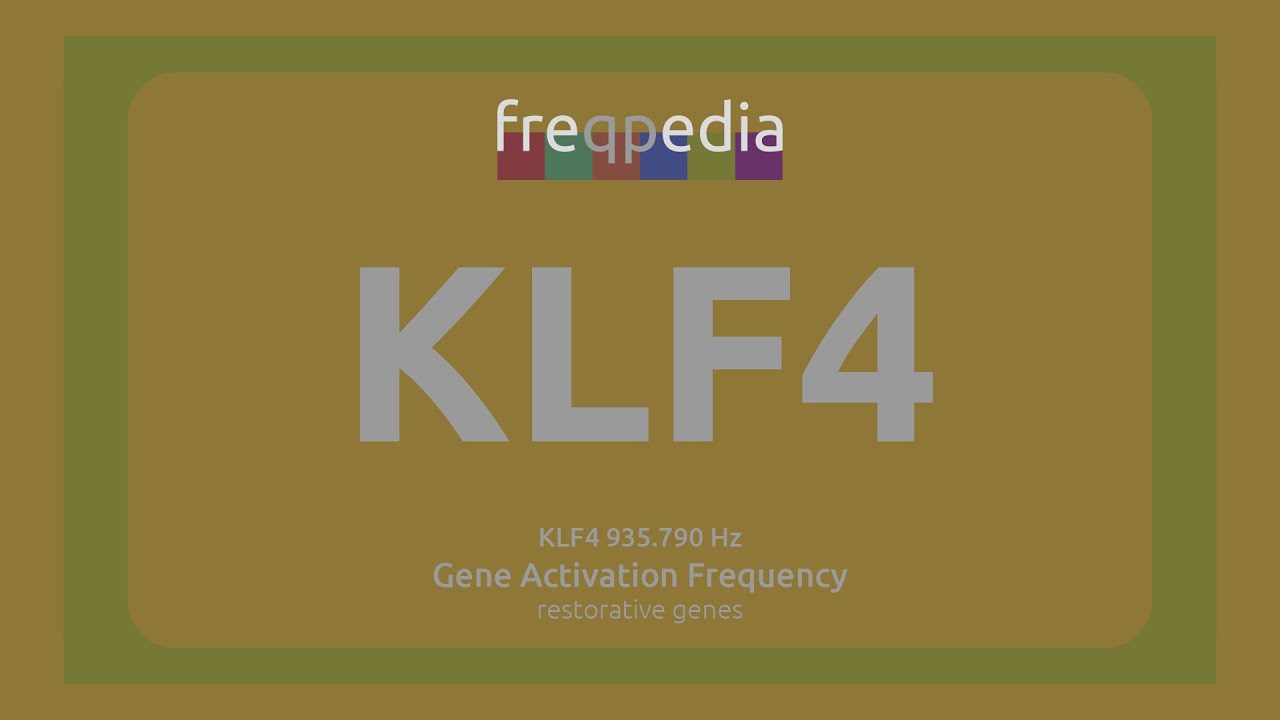 KLF4 (preserving cell identity) Gene Activation Frequency