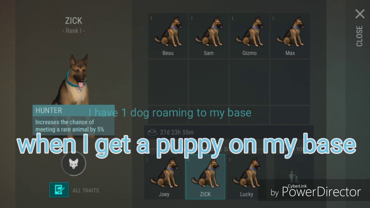 LDOE# How to   use dogs skills HD 1