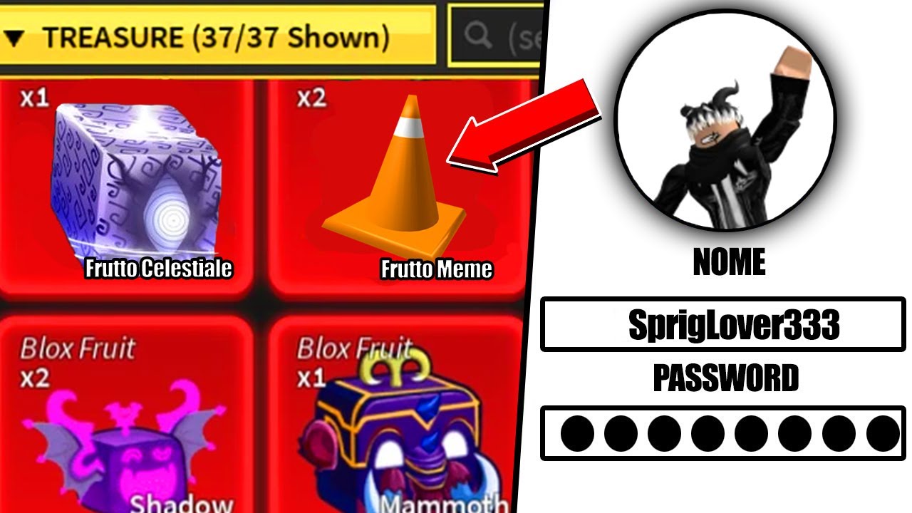 ENTRO Nel PROFILO Di Un FAN Con Un FRUTTO SEGRETO Su ROBLOX Blox Fruit