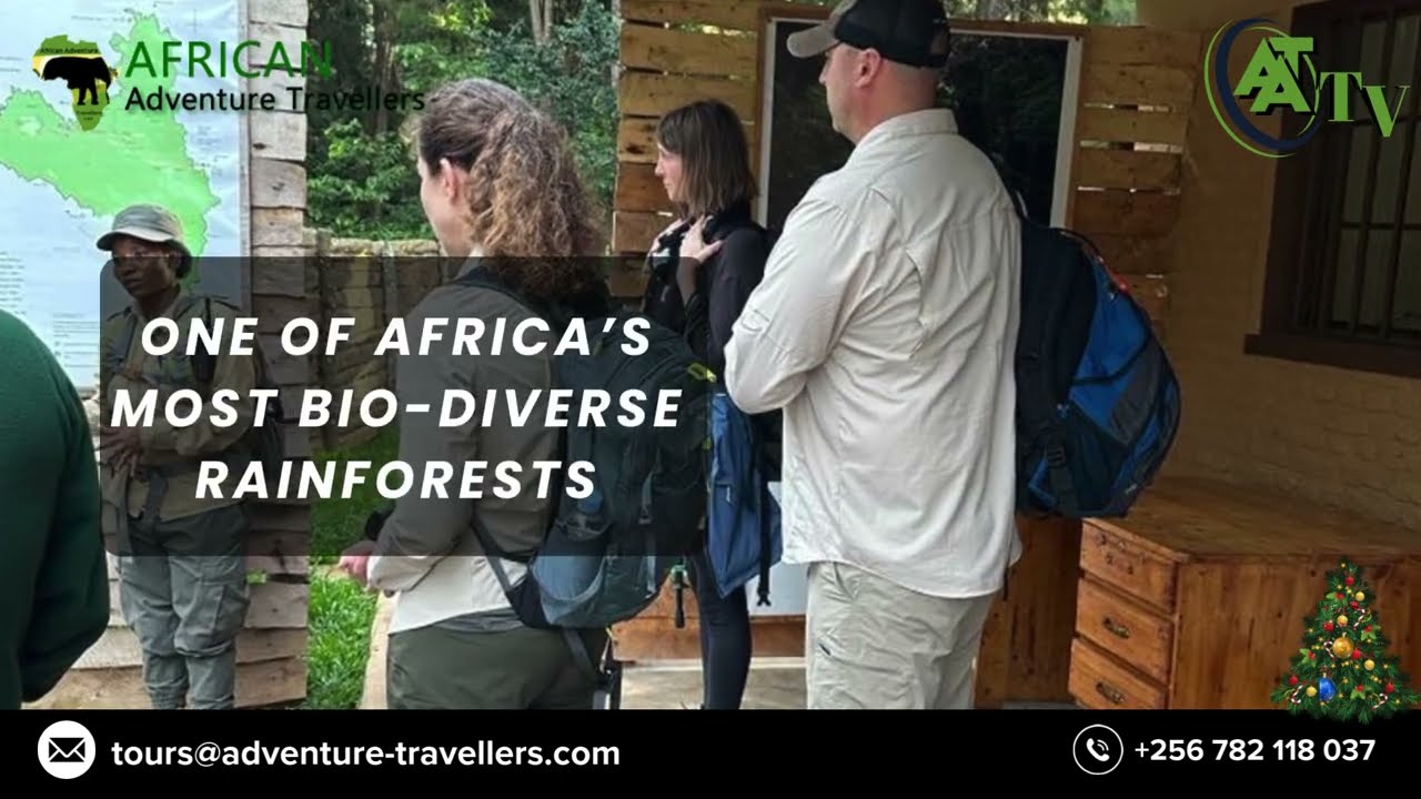 This 2-day Nyungwe experience is pure rainforest magic VisitRwanda #NyungweTour#fyp#EcoTravel